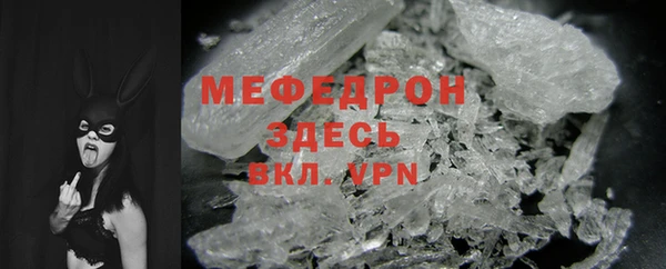 хмурый Аркадак