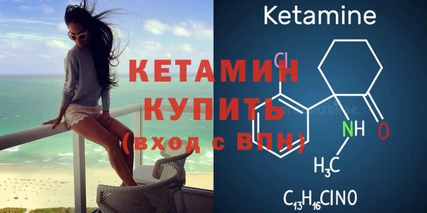 хмурый Аркадак