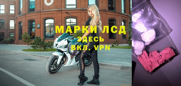 хмурый Аркадак