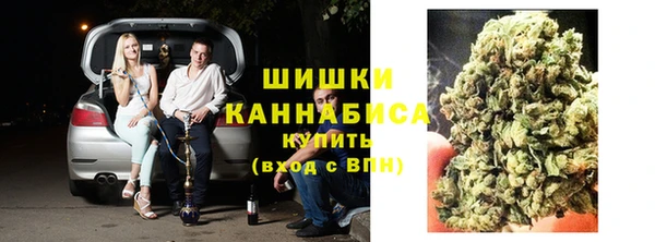 гашик Арсеньев