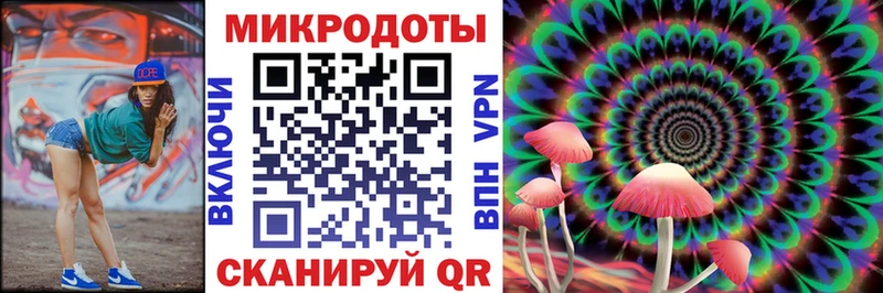 Псилоцибиновые грибы Psilocybe  Лаишево 