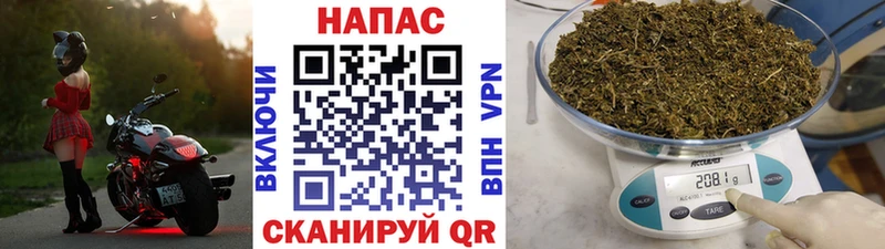 Каннабис семена  Лаишево 